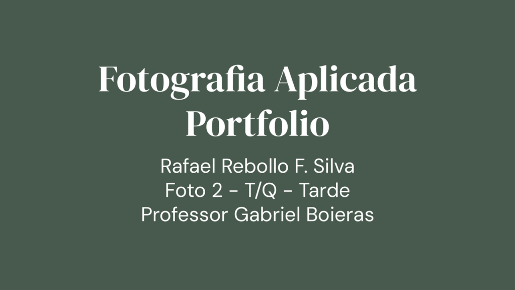 Obra de Rafael Rebollo Francisco da Silva