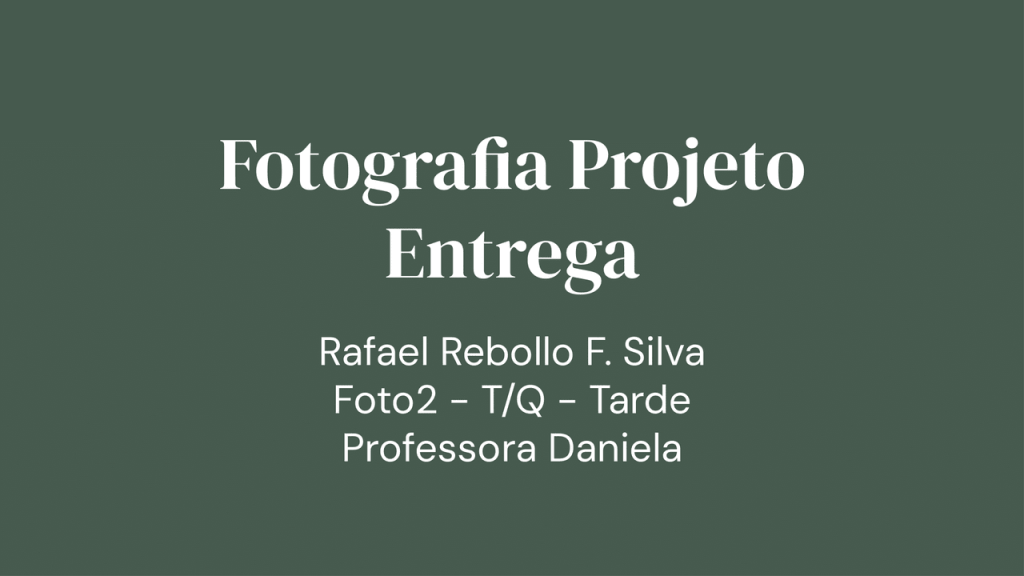 Obra de Rafael Rebollo Francisco da Silva