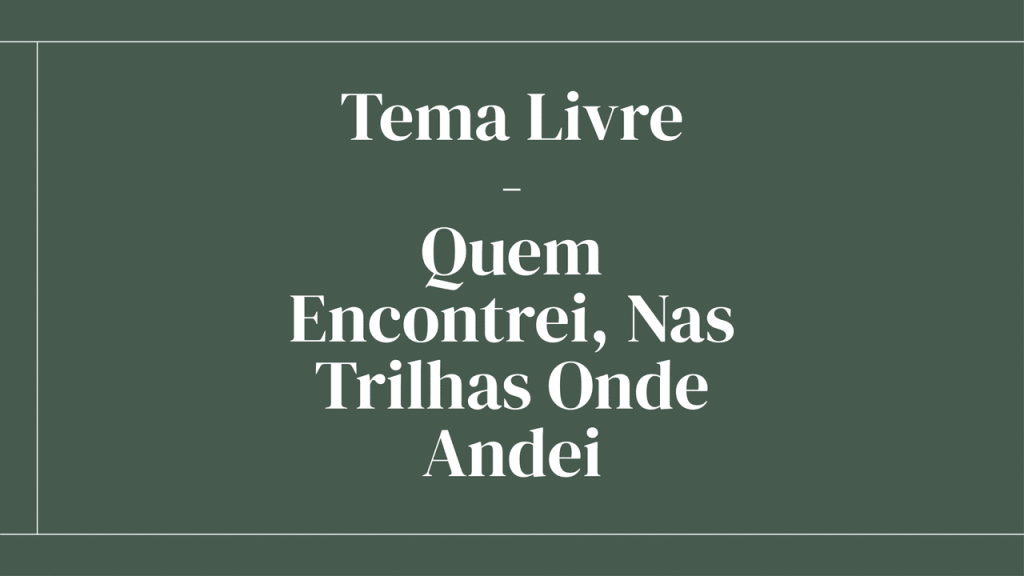Obra de Rafael Rebollo Francisco da Silva
