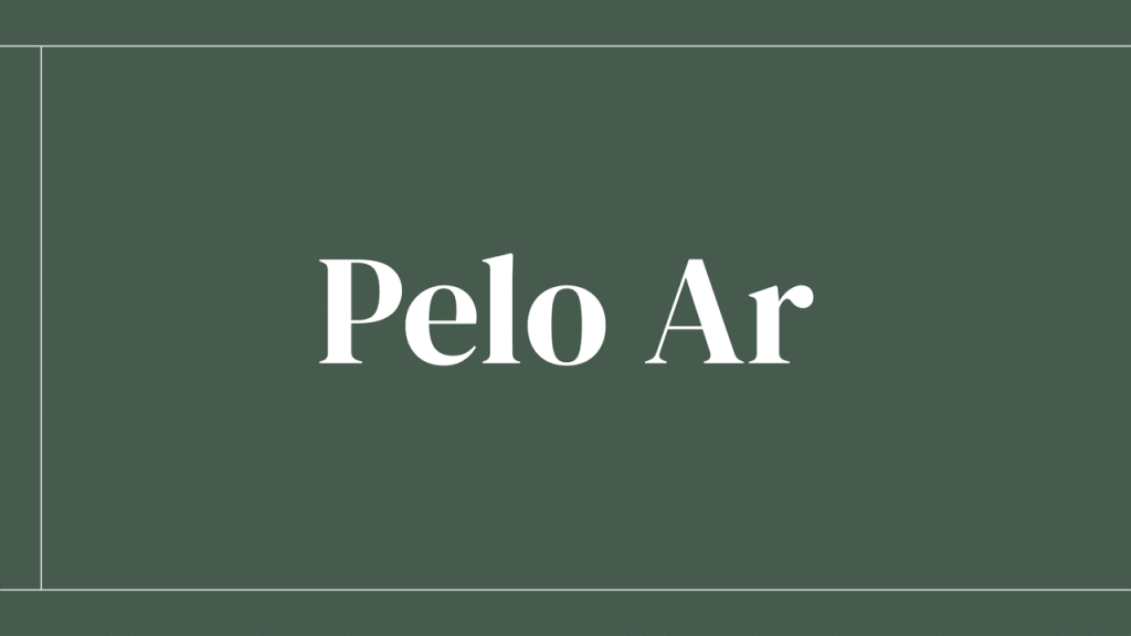 Obra de Rafael Rebollo Francisco da Silva
