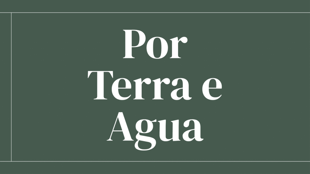 Obra de Rafael Rebollo Francisco da Silva