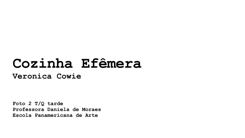 Obra de Veronica Ashley Cowie Ribeiro