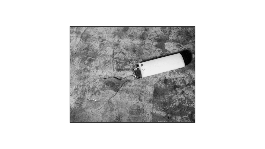 Obra de Veronica Ashley Cowie Ribeiro