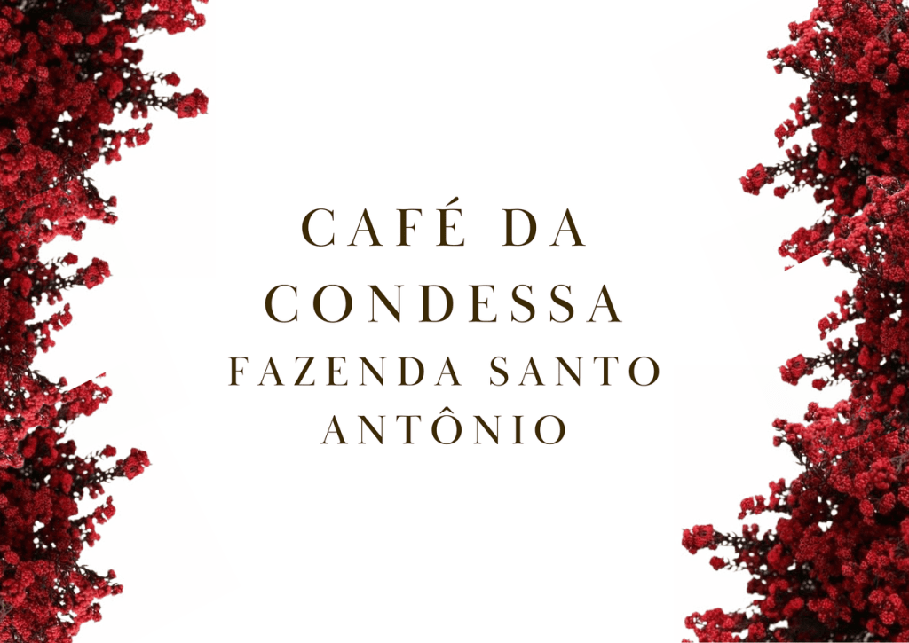 Obra de Alessandra Aparecida Caje Feitosa