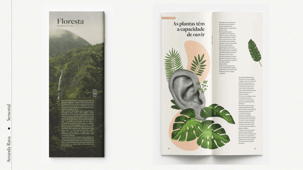 Obra de Amanda Rana de Camargo