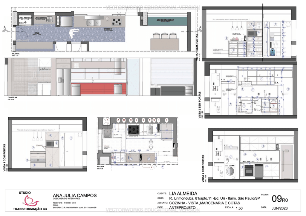 Obra de Ana Julia de Campos Cardoso