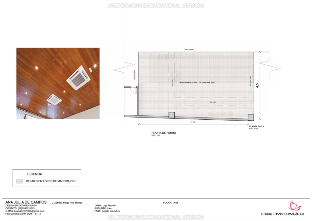 Obra de Ana Julia de Campos Cardoso