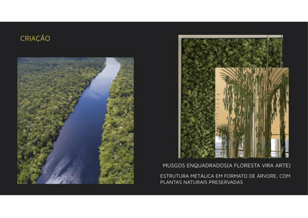 Obra de Claudia Guimarães Pereira