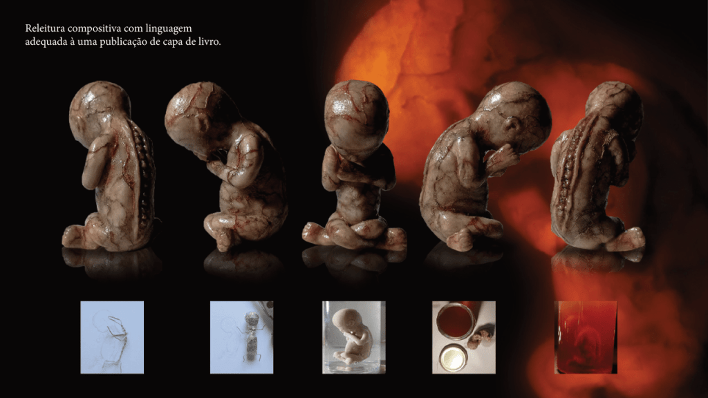 Obra de Felix Almança Flores