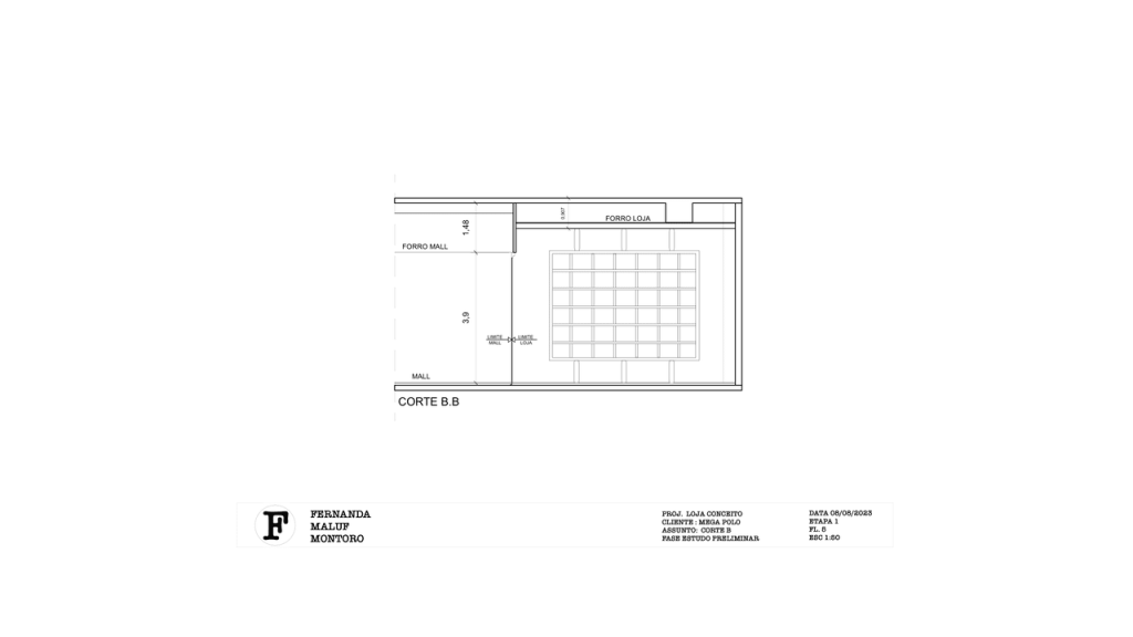 Obra de Fernanda Maluf Montoro