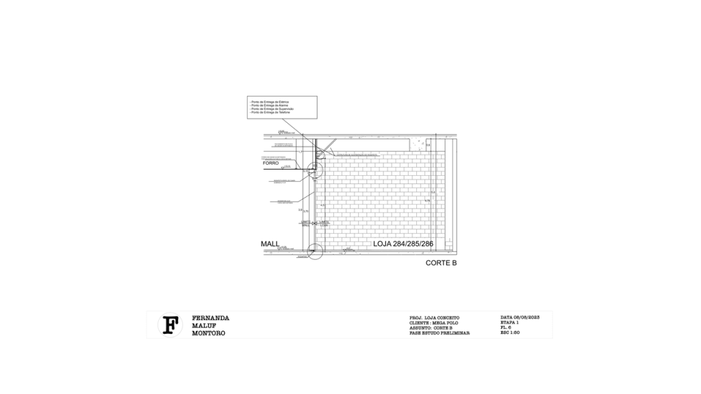Obra de Fernanda Maluf Montoro