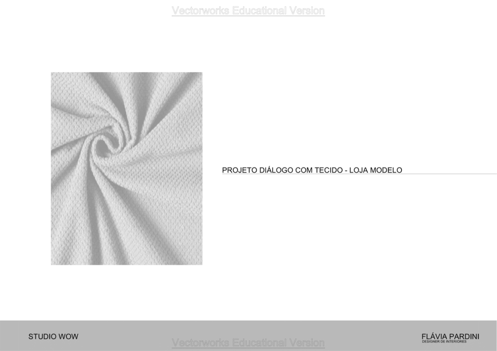 Obra de Flavia Pardini Lucas de Lima