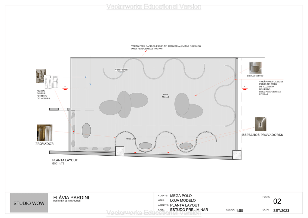 Obra de Flavia Pardini Lucas de Lima