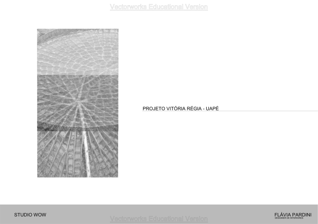 Obra de Flavia Pardini Lucas de Lima