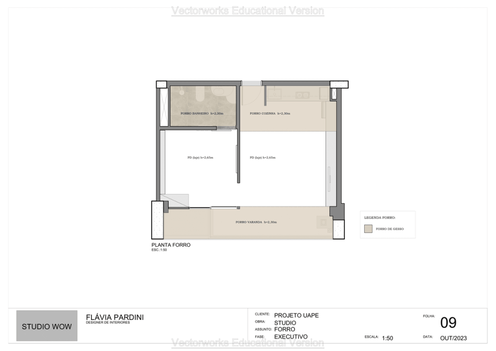 Obra de Flavia Pardini Lucas de Lima