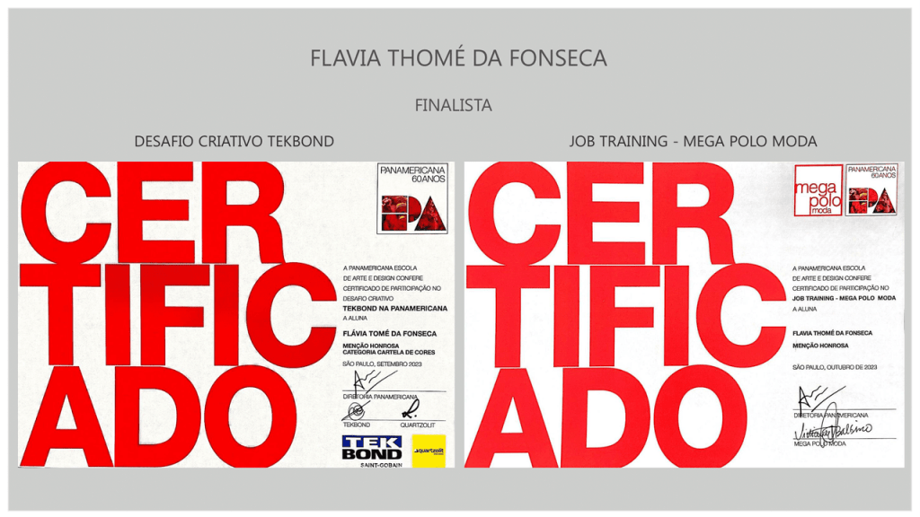 Obra de Flavia Thome da Fonseca