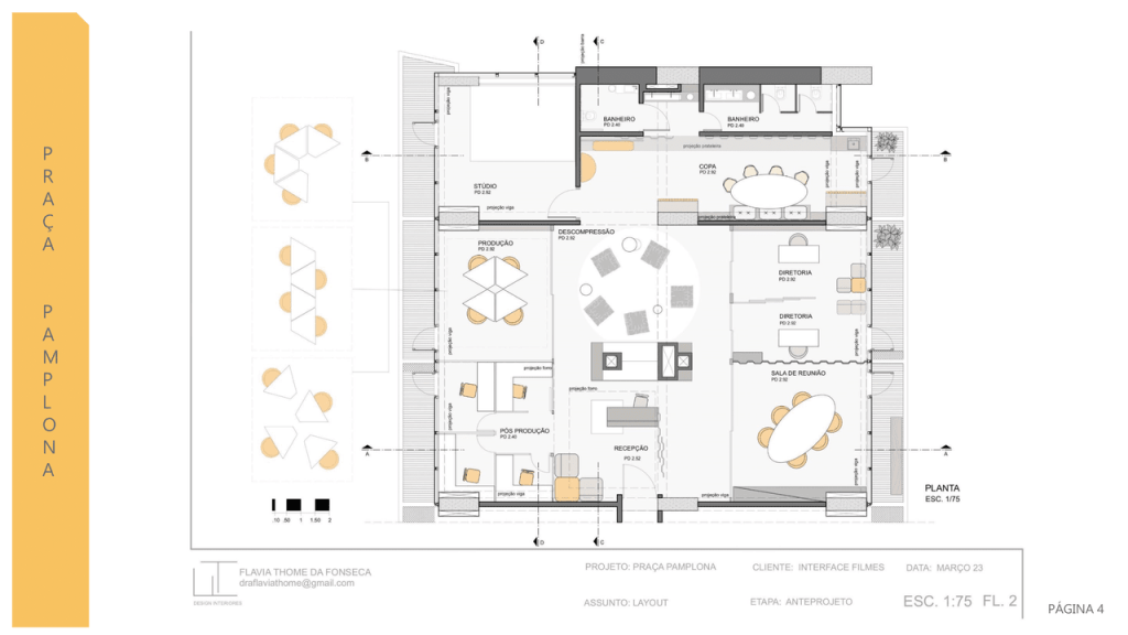 Obra de Flavia Thome da Fonseca