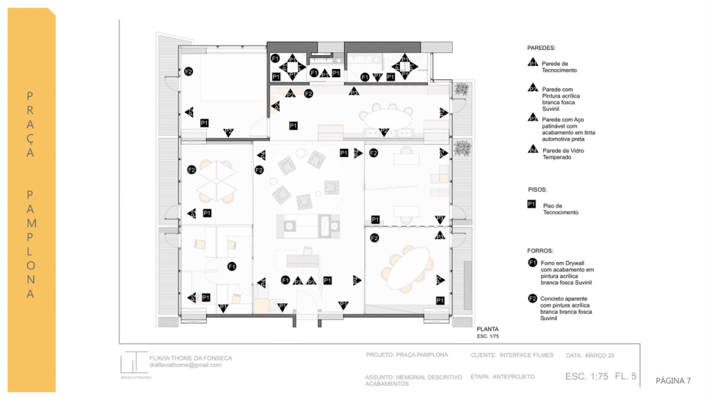 Obra de Flavia Thome da Fonseca
