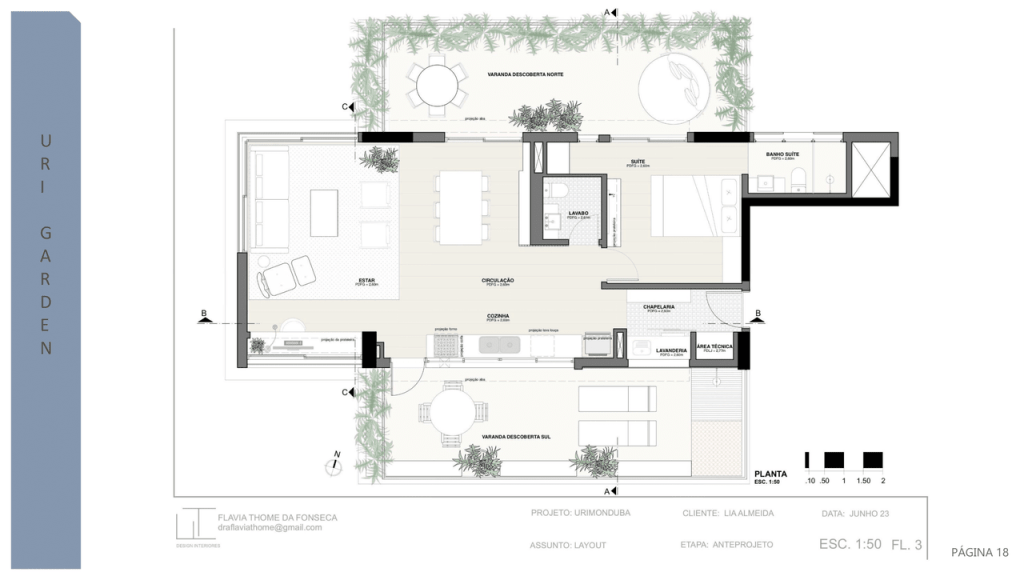 Obra de Flavia Thome da Fonseca