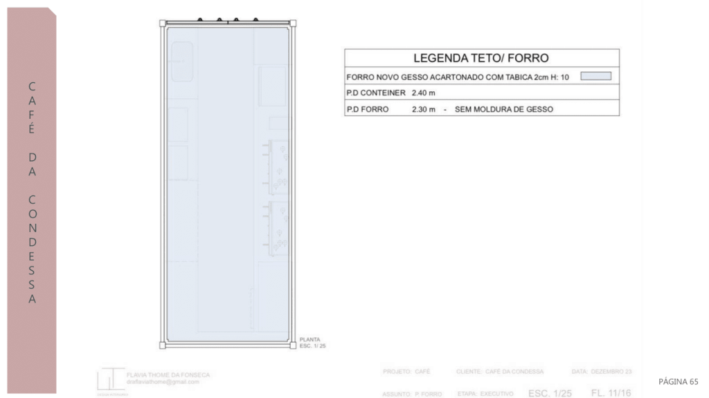 Obra de Flavia Thome da Fonseca