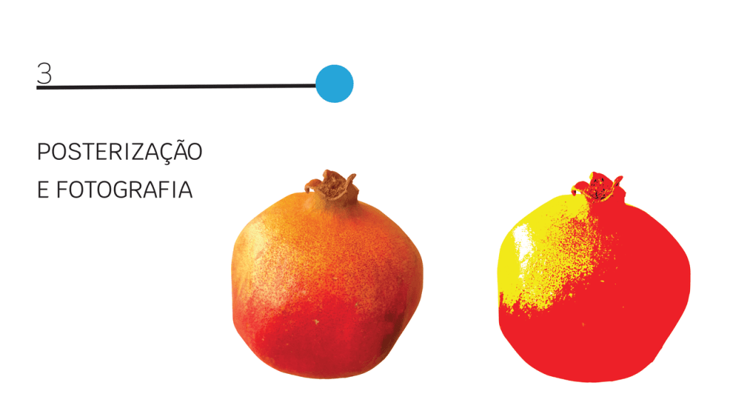 Obra de Julia Silveira Piva