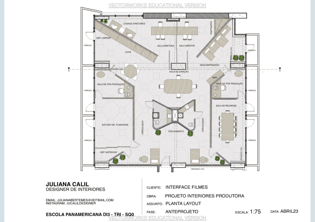 Obra de Juliana Bertemes Polucenio Calil
