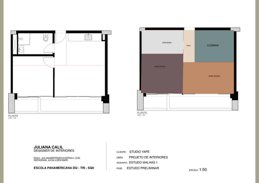 Obra de Juliana Bertemes Polucenio Calil