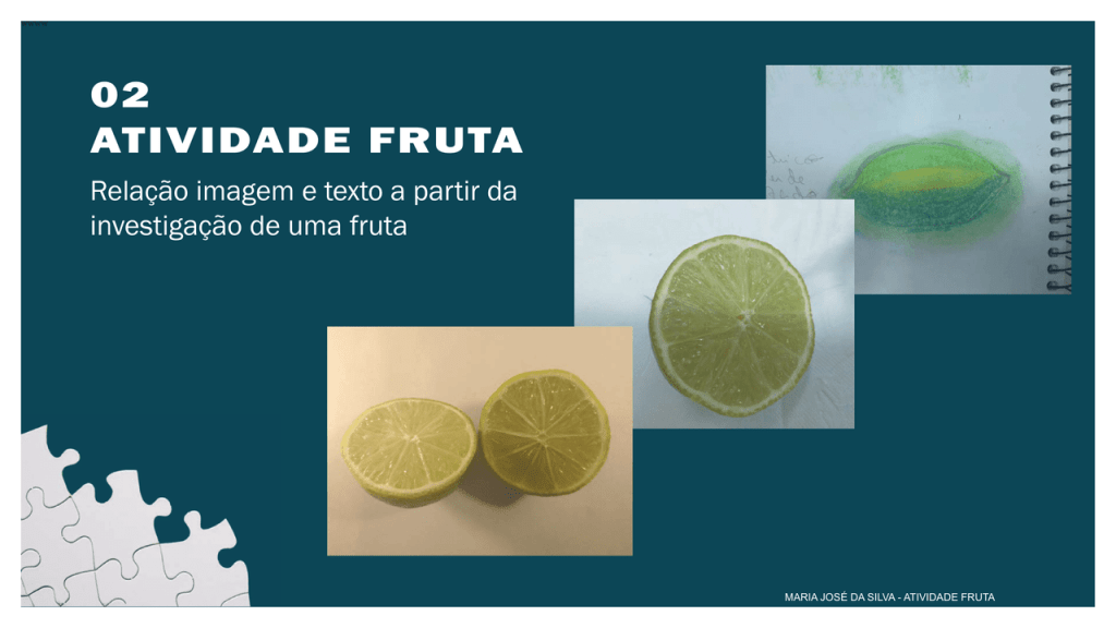 Obra de Maria Jose da Silva 