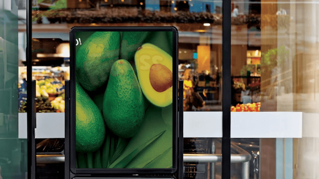 Obra de Paloma Di Girolamo Mannarelli 