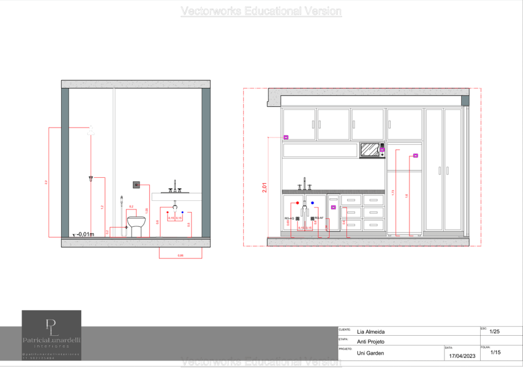 Obra de Patricia Camargo Aranha Lunardelli