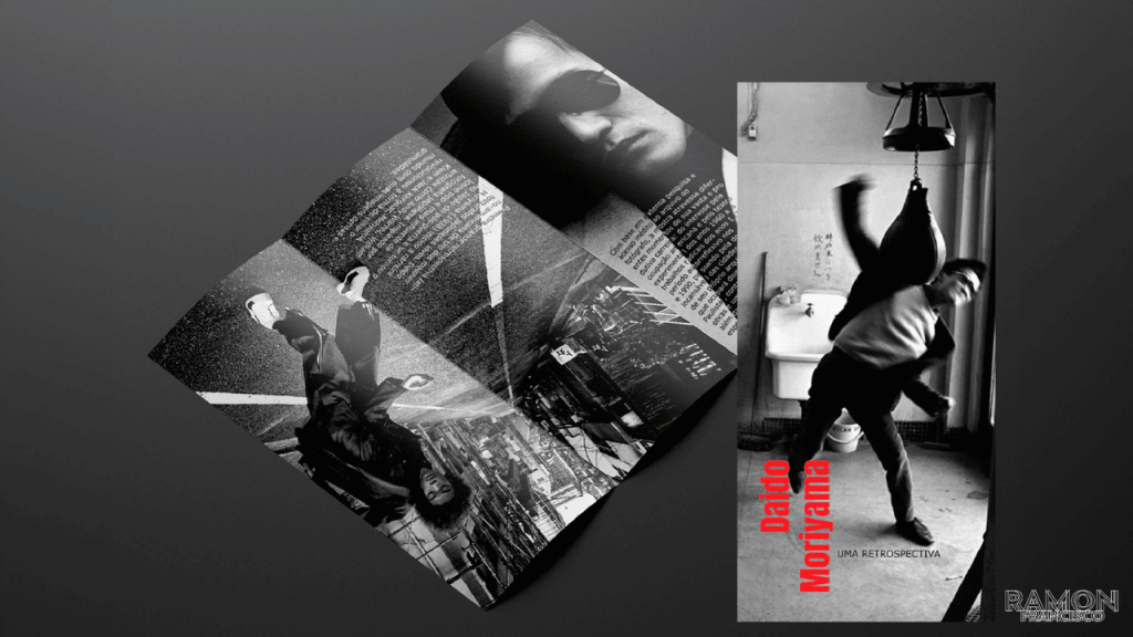 Obra de Ramon Francisco Silva Martins