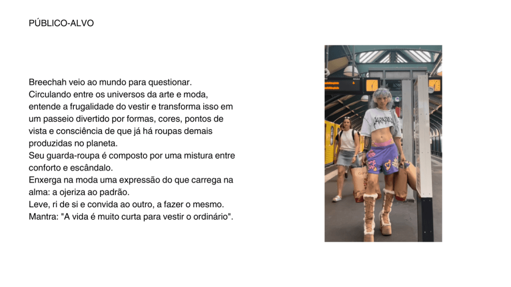 Obra de Claudia Lopes Fantini