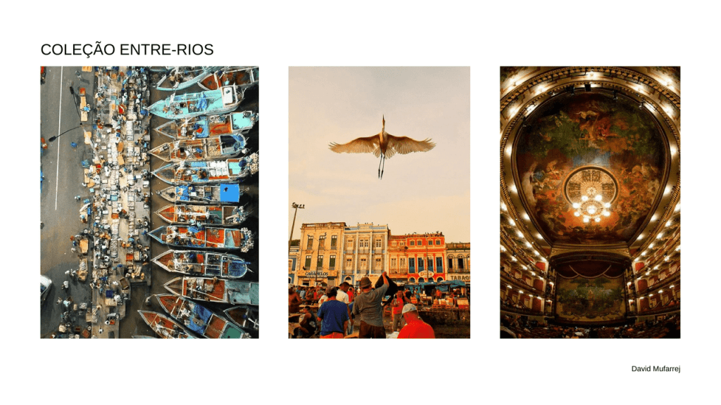 Obra de David Salomão Mufarrej Martin de Mello