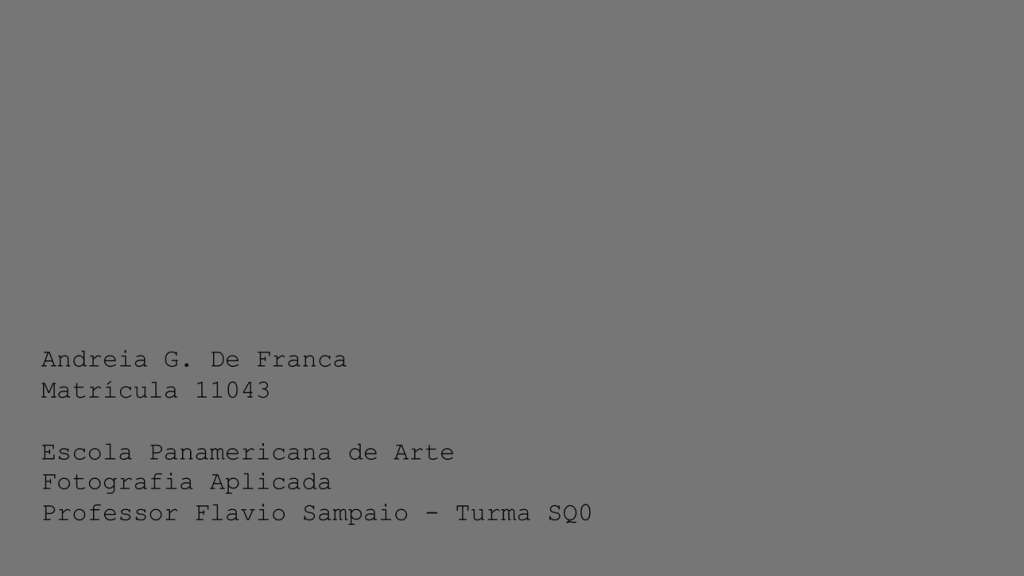 Obra de Andreia Gomes de França