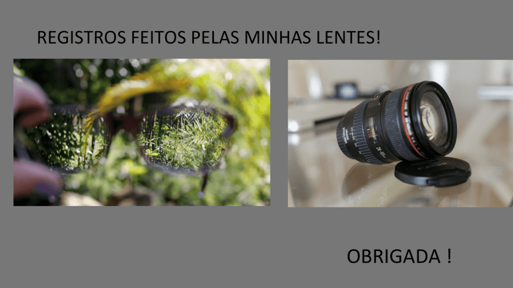Obra de Andreia Gomes de França