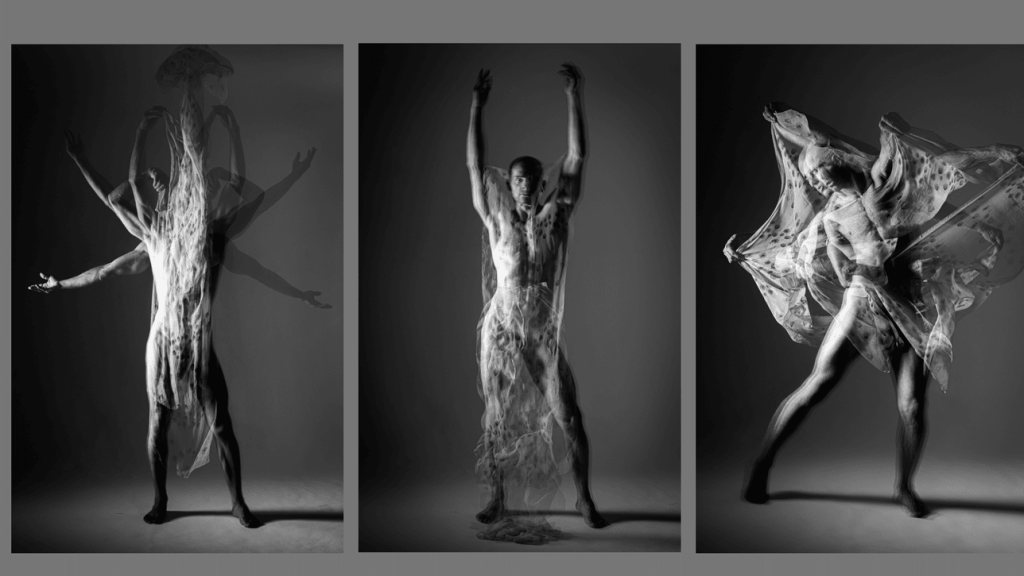 Obra de Diogo Rodrigues de Moares