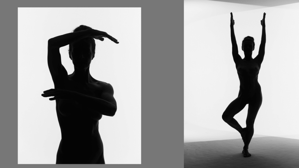 Obra de Diogo Rodrigues de Moares