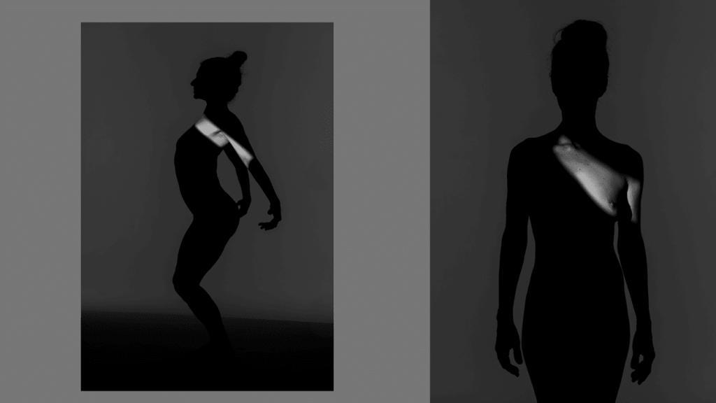 Obra de Diogo Rodrigues de Moares