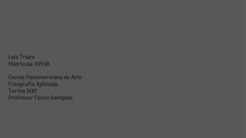 Obra de Laiz Triani Garufi 
