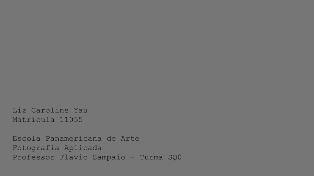 Obra de Liz Caroline Yau