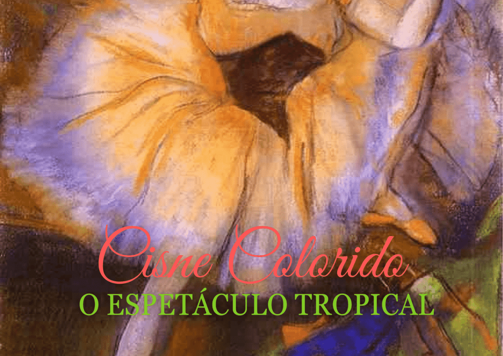 Obra de Melissa Staduto Justo