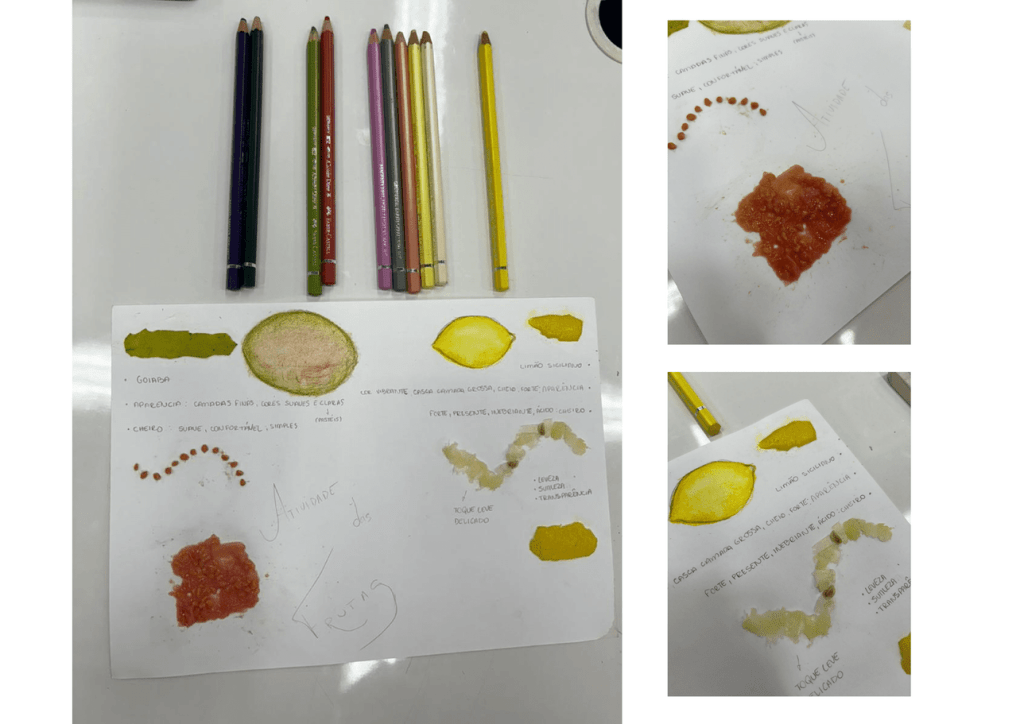 Obra de Melissa Staduto Justo