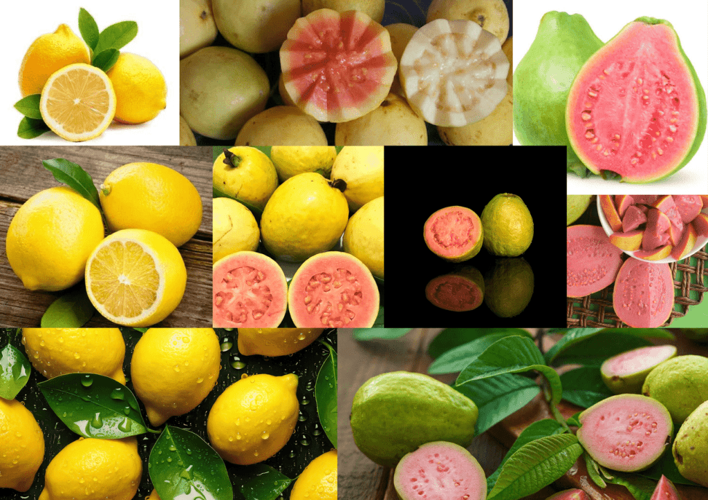 Obra de Melissa Staduto Justo