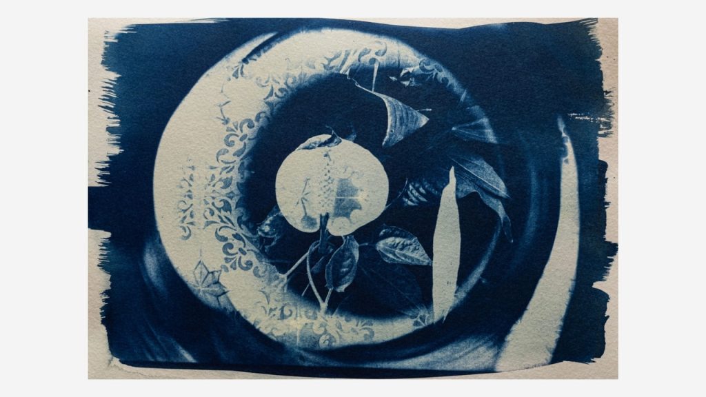 Obra de Amanda Leveghim