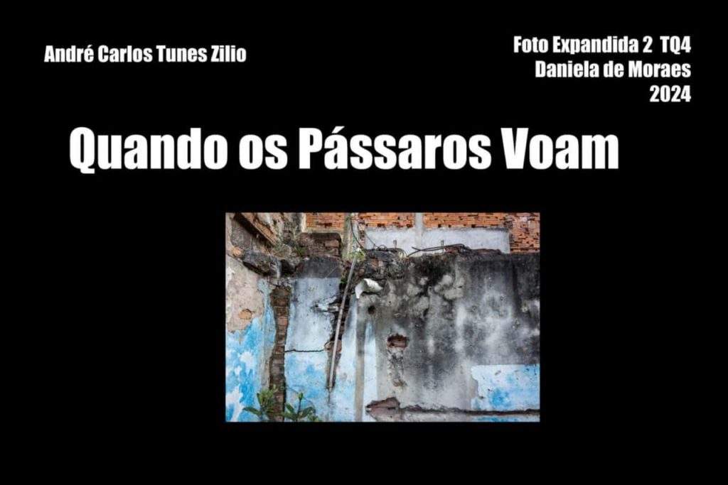 Obra de André Carlos Tunes Zilio