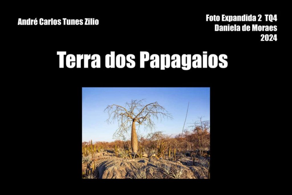 Obra de André Carlos Tunes Zilio