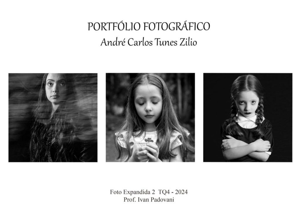 Obra de André Carlos Tunes Zilio