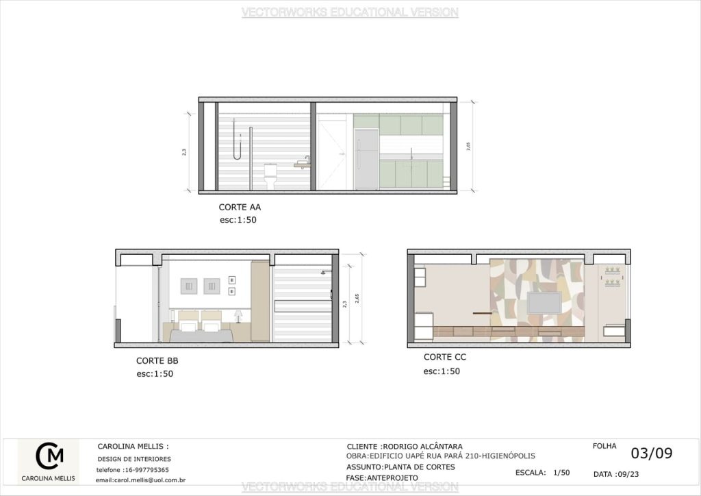 Obra de Carolina Pereira da Silva Felipe Mellis