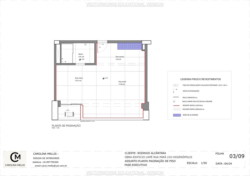 Obra de Carolina Pereira da Silva Felipe Mellis