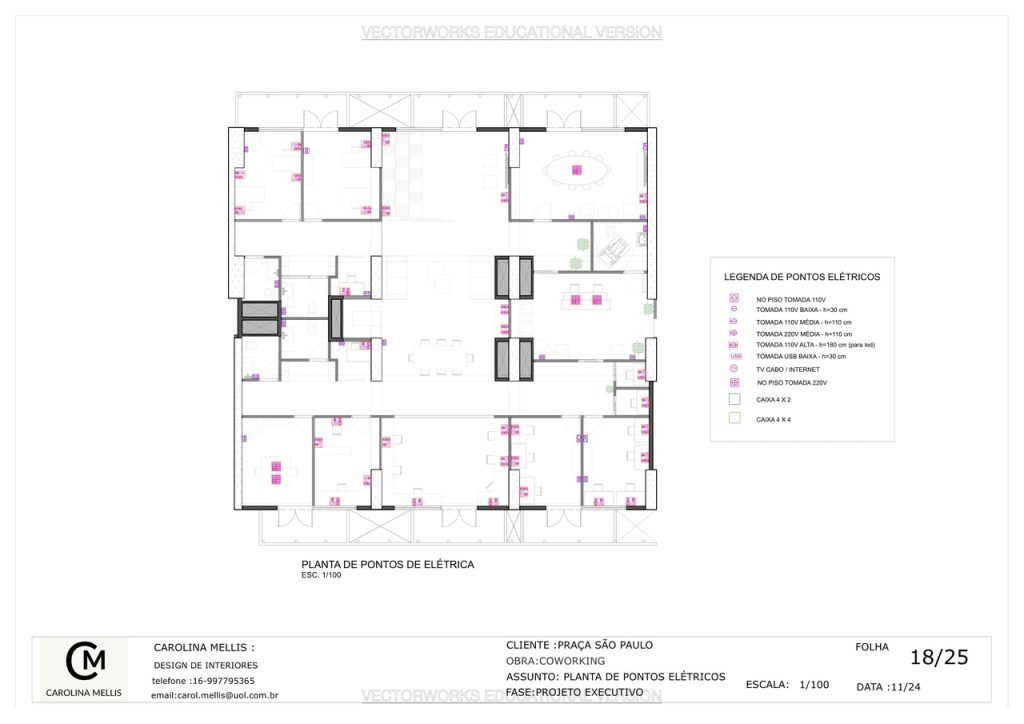 Obra de Carolina Pereira da Silva Felipe Mellis